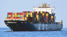 重磅！MSC 续约埃佛格莱兹港，码头租期再延 10 年（国际海运新闻资讯）