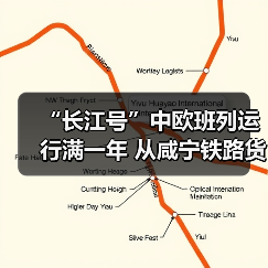 “长江号”中欧班列运行满一年 从咸宁铁路货场**（图3）