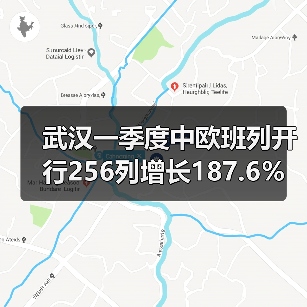 武汉一季度中欧班列开行256列增长187.6％ 进口数量单向暴增（图4）