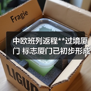 中欧班列返程**过境厦门 标志厦门已初步形成海铁联运新通道（图3）