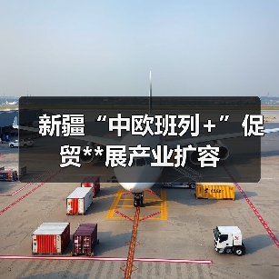 新疆“中欧班列+”促贸**展产业扩容（图4）