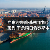 广东迎来首列进口中欧班列,千余吨白俄罗斯木材抵达东莞（图4）