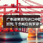 广东迎来首列进口中欧班列,千余吨白俄罗斯木材抵达东莞（图1）