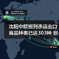 沈阳中欧班列承运出口商品种类已达303种 创历史新高（图1）