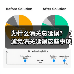 为什么清关总延误？（避免清关延误这些事项要了解）（图4）