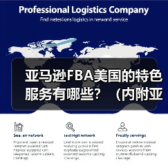 亚马逊FBA美国的特色服务有哪些？（内附亚马逊的竞争对手）（图3）