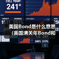 美国Bond是什么意思（美国清关年Bond和单次Bond到底差在哪里）（图2）