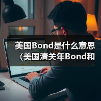 美国Bond是什么意思（美国清关年Bond和单次Bond到底差在哪里）（图3）