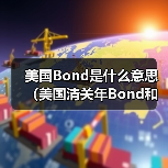 美国Bond是什么意思（美国清关年Bond和单次Bond到底差在哪里）（图4）