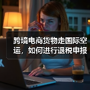 跨境电商货物走国际空运，如何进行退税申报（国际空运干货知识分享）（图2）