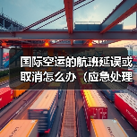国际空运的航班延误或取消怎么办（应急处理方案）（图4）