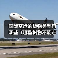 国际空运的货物类型有哪些（哪些货物不能走空运）（图4）