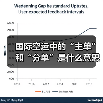 国际空运中的“主单”和“分单”是什么意思（有何区别）（图4）