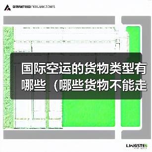国际空运的货物类型有哪些（哪些货物不能走空运）（图2）