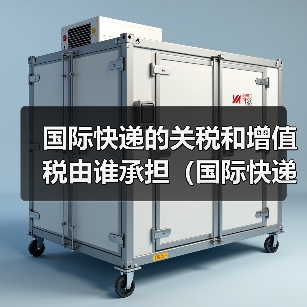 国际快递的关税和增值税由谁承担（国际快递干货知识分享）（图2）