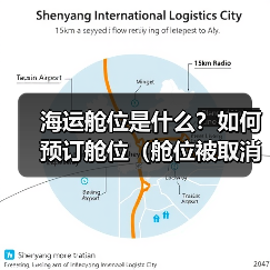 海运舱位是什么？如何预订舱位（舱位被取消该怎么办）（图4）