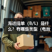 海运提单（B/L）是什么？有哪些类型（电放提单和正本提单有什么区别）（图4）