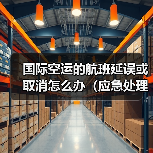 国际空运的航班延误或取消怎么办（应急处理方案）（图1）