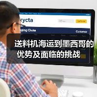 送料机海运到墨西哥的优势及面临的挑战（图2）