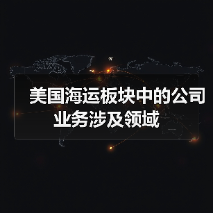 美国海运板块中的公司业务涉及领域(图4) 美国海运板块中的公司业务涉及领域(图4)
