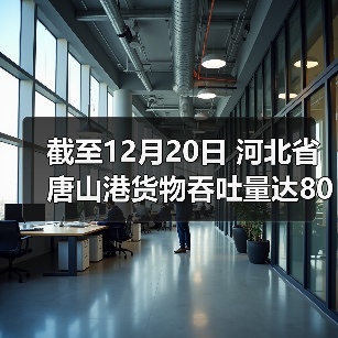 截至12月20日 河北省唐山港货物吞吐量达80645.09万吨(图4) 截至12月20日 河北省唐山港货物吞吐量达80645.09万吨(图4)