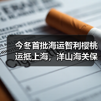 今冬首批海运智利樱桃运抵上海,洋山海关保障高效通关(图3) 今冬首批海运智利樱桃运抵上海,洋山海关保障高效通关(图3)