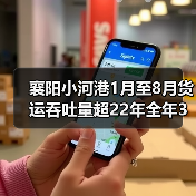 襄阳小河港1月至8月货运吞吐量超22年全年3倍（图4）