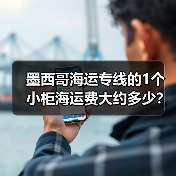 墨西哥海运专线的1个小柜海运费大约多少？（图3）