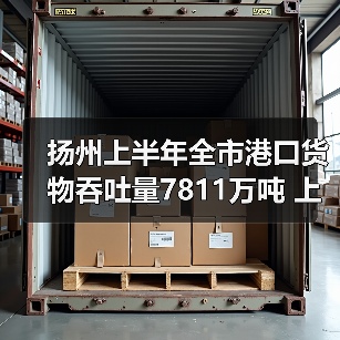 扬州上半年全市港口货物吞吐量7811万吨 上升4.56%（图4）