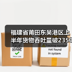 福建省莆田东吴港区上半年货物吞吐量破2350万吨
