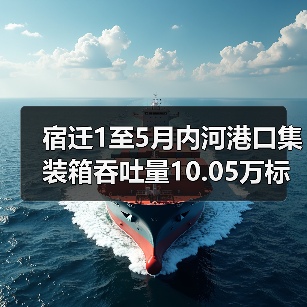 宿迁1至5月内河港口集装箱吞吐量10.05万标箱 增长68.86%（图2）