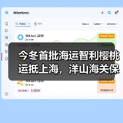 今冬首批海运智利樱桃运抵上海，洋山海关保障高效通关（图4）