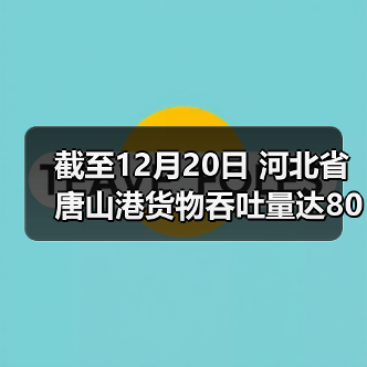 截至12月20日 河北省唐山港货物吞吐量达80645.09万吨（图3）