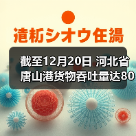 截至12月20日 河北省唐山港货物吞吐量达80645.09万吨