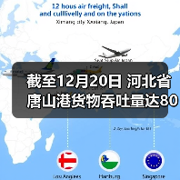 截至12月20日 河北省唐山港货物吞吐量达80645.09万吨（图2）