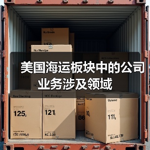 美国海运板块中的公司业务涉及领域（图2）