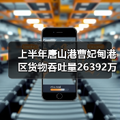 上半年唐山港曹妃甸港区货物吞吐量26392万吨 增长12.47％（图4）