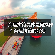 海运拼箱具体是何操作？海运拼箱的好处（图3）