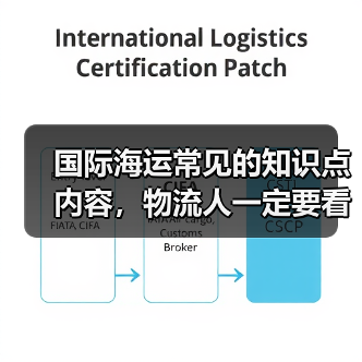 国际海运常见的知识点内容,物流人一定要看(图2) 国际海运常见的知识点内容,物流人一定要看(图2)
