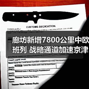 廊坊新增7800公里中欧班列 战略通道加速京津冀物流升级（图4）