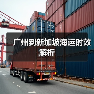 广州到新加坡海运时效解析（图4）