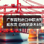 广东首列进口中欧班列抵东莞 白俄罗斯木材助力家具产业