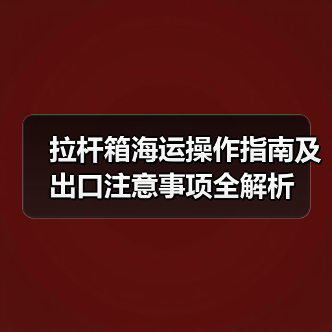 拉杆箱海运操作指南及出口注意事项全解析(图4) 拉杆箱海运操作指南及出口注意事项全解析(图4)