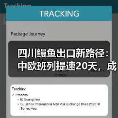 四川鳗鱼出口新路径：中欧班列提速20天，成本直降5万（图4）