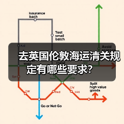 去英国伦敦海运清关规定有哪些要求?(图2) 去英国伦敦海运清关规定有哪些要求?(图2)