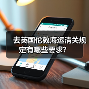 去英国伦敦海运清关规定有哪些要求?(图3) 去英国伦敦海运清关规定有哪些要求?(图3)