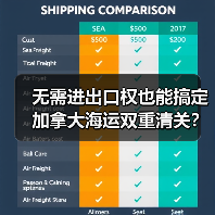 无需进出口权也能搞定加拿大海运双重清关？送货上门全攻略（图3）