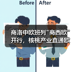 商洛中欧班列 商洛中欧班列