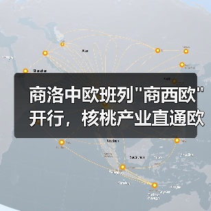 商洛中欧班列 商洛中欧班列