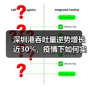 深圳港吞吐量逆势增长近30%,疫情下如何实现?(图4) 深圳港吞吐量逆势增长近30%,疫情下如何实现?(图4)